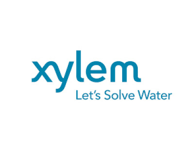 Xylem